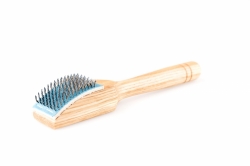 Shoe brush